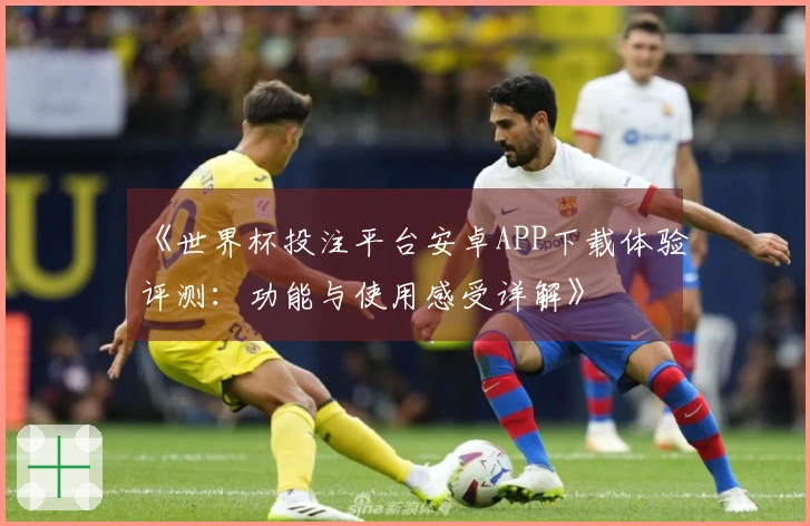 《世界杯投注平台安卓APP下载体验评测：功能与使用感受详解》