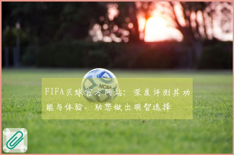 FIFA买球官方网站：深度评测其功能与体验，助您做出明智选择