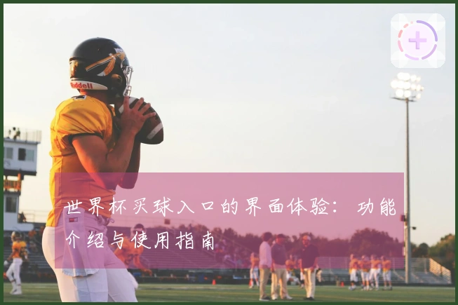世界杯买球入口的界面体验：功能介绍与使用指南