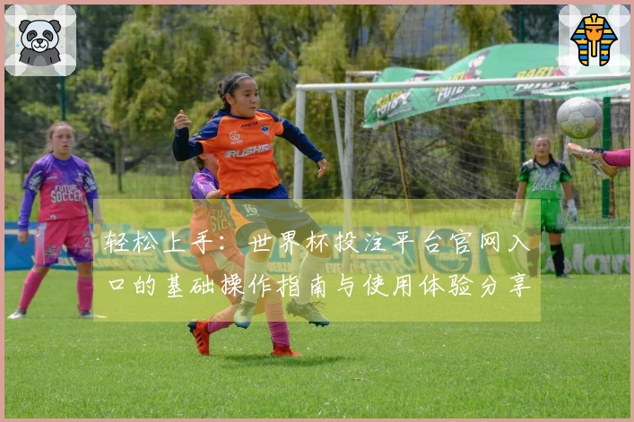 轻松上手：世界杯投注平台官网入口的基础操作指南与使用体验分享