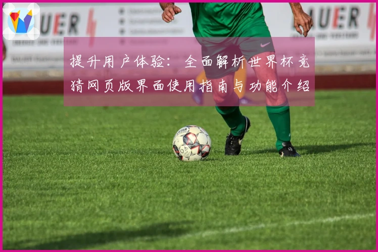 提升用户体验:全面解析世界杯竞猜网页版界面使用指南与功能介绍
