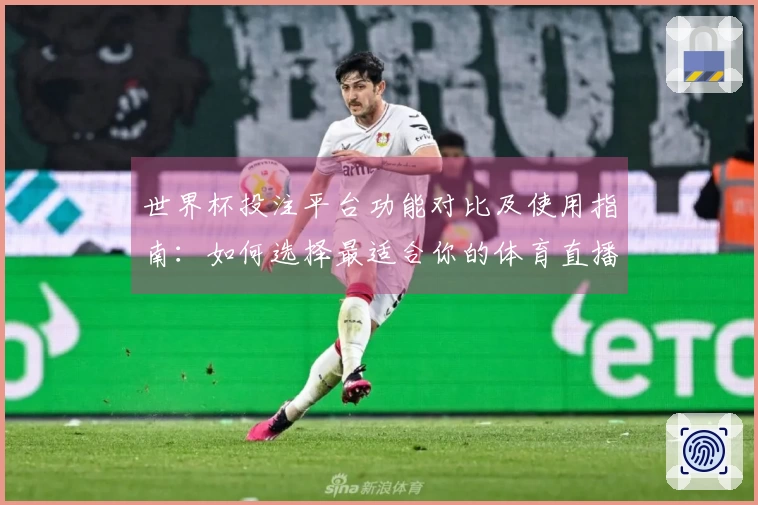 世界杯投注平台功能对比及使用指南：如何选择最适合你的体育直播平台