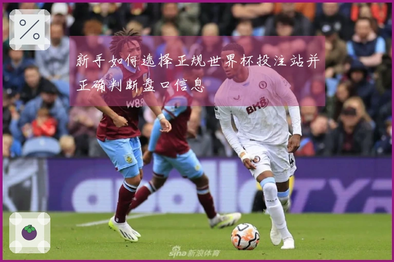 新手如何选择正规世界杯投注站并正确判断盘口信息