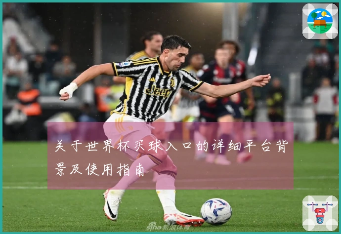 关于世界杯买球入口的详细平台背景及使用指南