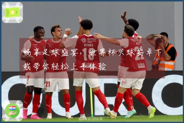 畅享足球盛宴，世界杯买球安卓下载带你轻松上手体验