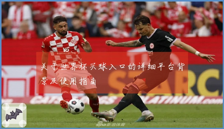 关于世界杯买球入口的详细平台背景及使用指南