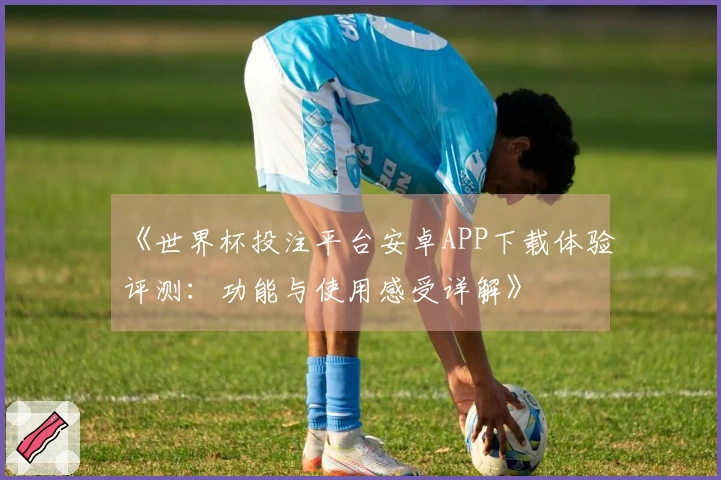 《世界杯投注平台安卓APP下载体验评测：功能与使用感受详解》
