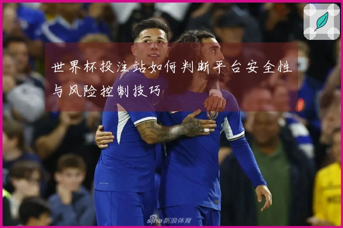 世界杯投注站如何判断平台安全性与风险控制技巧