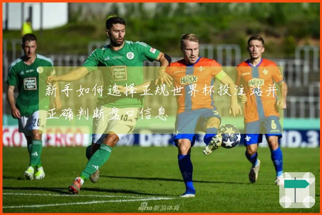 新手如何选择正规世界杯投注站并正确判断盘口信息