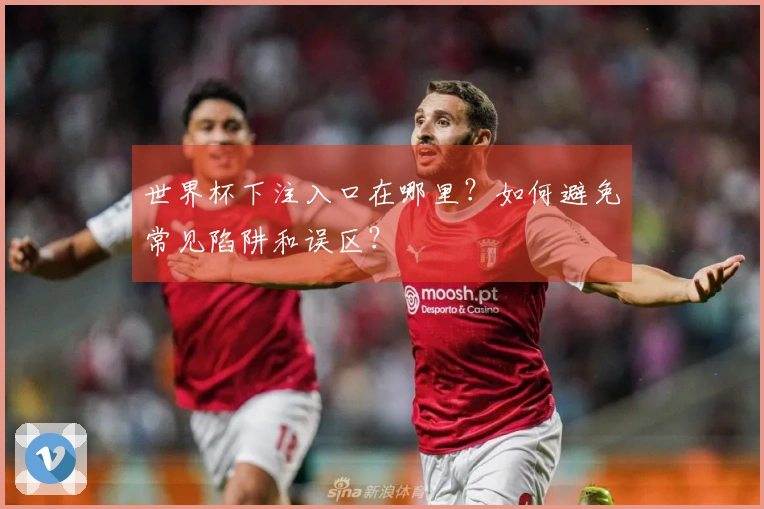 世界杯下注入口在哪里?如何避免常见陷阱和误区?